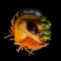 Teriyaki Chicken Bowl